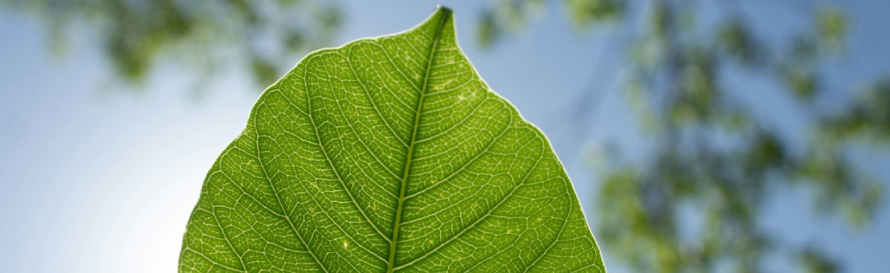 1748001618R-Innovare l'Economia Circolare: il manifesto di ECOSISTER per support