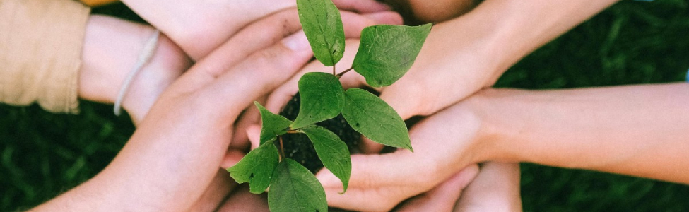 1748001618Ecosistemi in dialogo per produrre innovazione sociale 