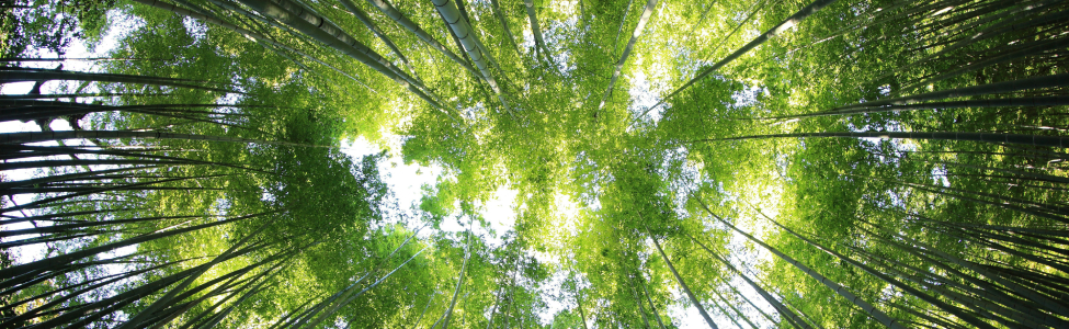 1749477602DEMO DAY ECOSISTER ACCELERATOR