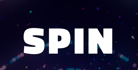 SPIN: Digital Valorisation Leaders